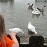 Profilbild von ann