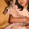 جزلـ القصيد's profile picture