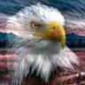 Фото профиля Sassy1776