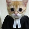เดชเตเดชเตเดชเดฟ เดตเดเตเดเตเตฝ ๐ท๐ฆฆ๐ง๐ญ๐ก๐๐๐ค๐ฃ's profile picture