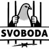 VladaParodija's profile picture