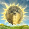 Profilbild von Dougie McDougsauce Jr. Douglas