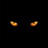 atop's profile picture