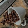 طلال المغربي 的头像