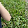 畑中美由紀 profil fotoğrafı