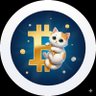 ビット仔猫 profil fotoğrafı