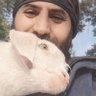 Enîs Yalcin profil fotoğrafı