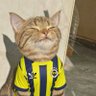 Profilbild von Meowth’z