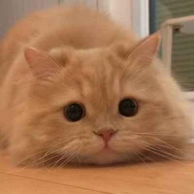🌸🍁จอมยุ่งประจำหมู่บ้าน🌻🍀's profile picture