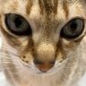 Profilbild von もう限界。。。@日本のリアル