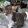 夢瓦 profil fotoğrafı