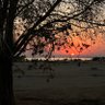 Profilbild von عبدالكريـمـ