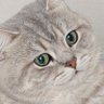 虚室生白 profil fotoğrafı