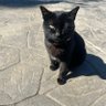 Tripfle's profile picture