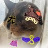å¹é£ð â's profile picture