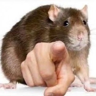 tetikus_at_1am's profile picture