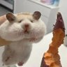 Profilbild von おにぎり
