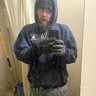 Adam Collins's profile picture