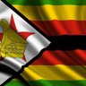Фото профиля The African Revolution in Zimbabwe