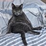 Вбитий брат дорогенької's profile picture