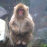 Arias's profile picture