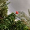 نور profil fotoğrafı