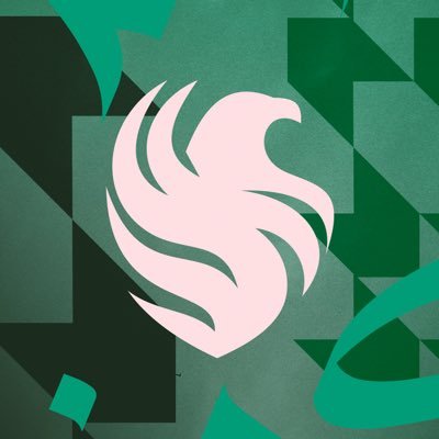 TeamFalconsGG's profile picture