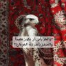 الضيغمي 的头像