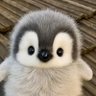 sammy's profile picture