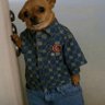Marzo's profile picture