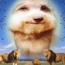 riley T's profile picture