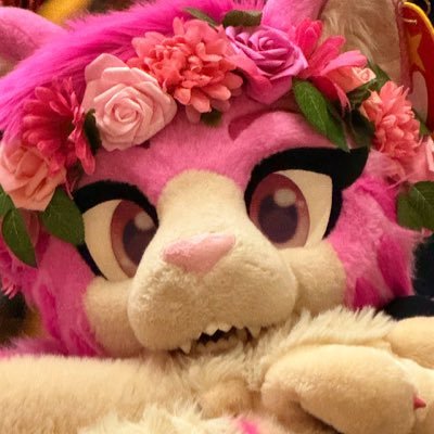 AGayPinkCat's profile picture