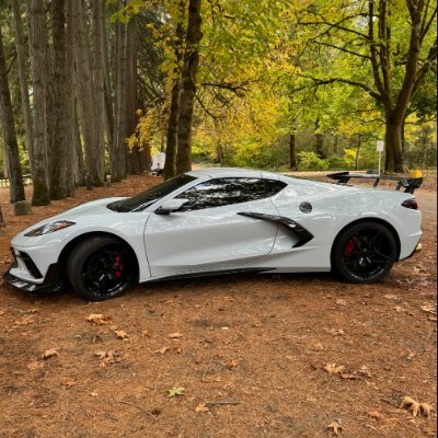 carcallgirl's profile picture