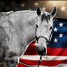 Heather Norton's profile picture