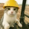 Oli profil fotoğrafı