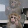 seenthink⁷'s profile picture
