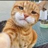 😺🍊โปโปแมวส้ม😺🍊 profil fotoğrafı