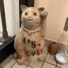 たんもく 的头像