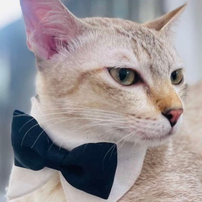 A. 🤍's profile picture