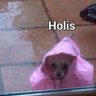 Holis's profile picture