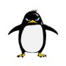 SHIRT4YOU's profile picture