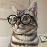 BORGOR's profile picture