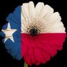 MJ_TX Patriot🇺🇸 profil fotoğrafı