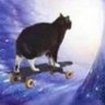 Profilbild von CatCatCat🚩🏴🏳️🌈