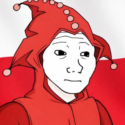 🇵🇱 Stańczyk's profile picture