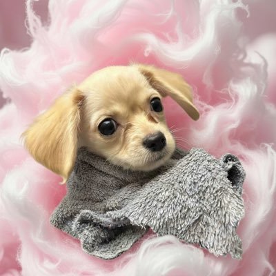 kkk429k's profile picture