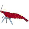 12 Volt Shrimp Special profil fotoğrafı