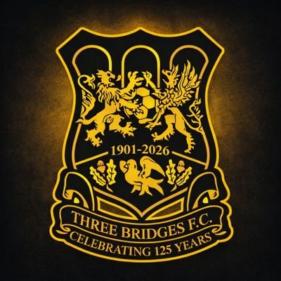 ThreeBridgesFC's profile picture