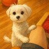 Profilbild von 계란아빠