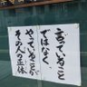是々非々 的头像